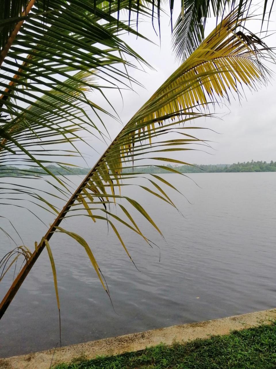 Hikka Lagoon Хіккадува Екстер'єр фото